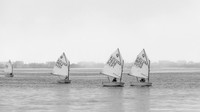 wys2020bw