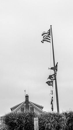 DSCF5531