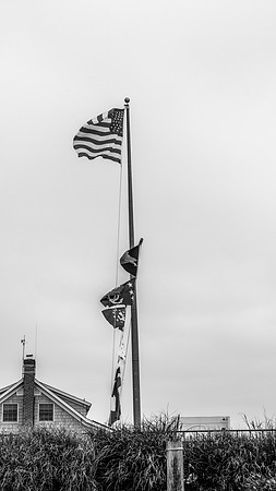 DSCF5530